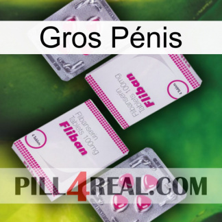 Gros Pénis 33
